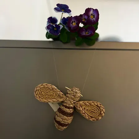 Апартаменты Golden Shell *